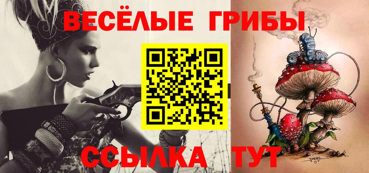 Омск  Псилоцибиновые грибы MAGIC MUSHROOMS  Вход с VPN 
